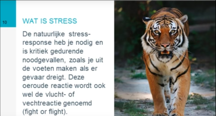 Presentatie voor medewerkers over stressvrij werken en balans